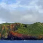 Photo illustrative Pitcairn