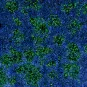 Cellules humaines infectées par MPXV © Institut Pasteur/Mathieu Hubert et Olivier Schwartz