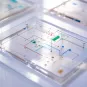 A transparent microfluidic device with integrated channels for fluid manipulation and analysis in lab-on-a-chip applications.