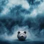 Baisse des dons ©AdobeStock / Dora Club 