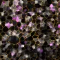 Photo de microscopie, illustration