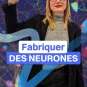 Fabriquer des neurones