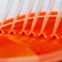 Phto illustrative de laboratoire