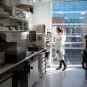 Reportage dans la plate-forme de criblage chémogénomique et biologique (PF-CCB)