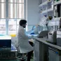 Reportage dans l'unité Epigénétique et génétique moléculaire.