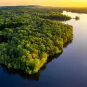 foret amazonienne