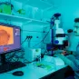 Reportage dans l'unité Mort cellulaire et homéostasie des épithéliums (Institut Pasteur, Paris)