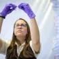 Reportage dans le laboratoire Mécanismes de l’hérédité épigénétique. 