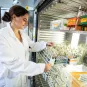 Centre national de référence des Mycoses invasives et infections fongiques à l’Institut Pasteur