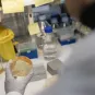 Reportage dans l’unité Biologie évolutive de la cellule microbienne. - Report from the Evolutionary Biology of Microbial Cells Unit.