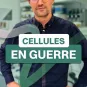 Cellules en guerre