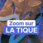 Zoom sur la tique