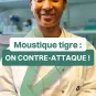 Moustique tigre : on contre-attaque