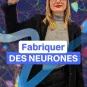 Fabriquer des neurones