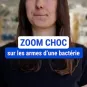 Zoom choc