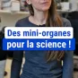 Des mini-organes