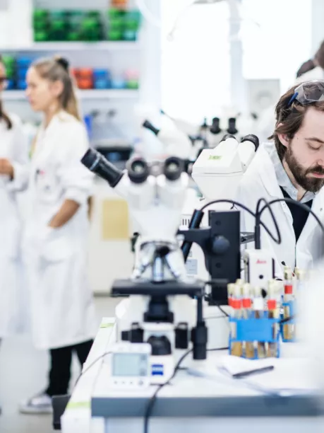 Les projets de recherche autour de la Covid-19 - Institut Pasteur