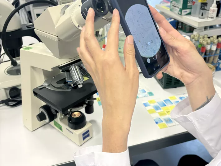 Medical Mycology pasteur course