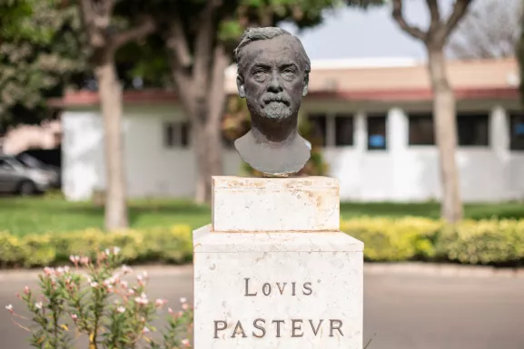 Reportage à l'Institut Pasteur de Dakar en juin 2019. Buste de Louis Pasteur dans les jardins.