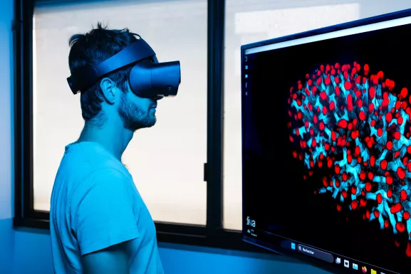 Un chercheur doctorant de l’unité de Décision et processus Bayesiens observe avec un casque de réalité virtuelle une image microscopique de poumon de souris prise en microscopie Light-sheet. L'image est visualisée à l'aide du logiciel DIVA qui est un logiciel d'imagerie permettant d'interagir en VR avec des images volumiques au format tiff et Dicom. Cette technologie permet d'offrir à des cliniciens des outils de visualisation pour la planification chirurgicale et la compréhension de données volumiques.