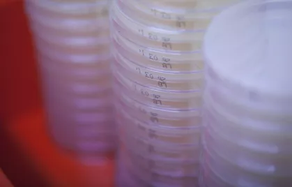 Centre de ressources biologiques - Institut Pasteur