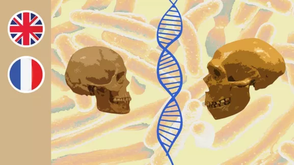 MOOC Human Populations and Evolutionary Genetics