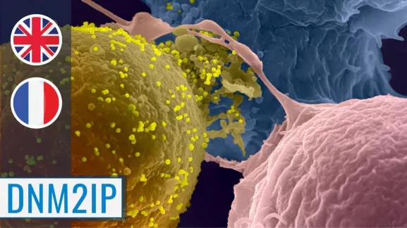 MOOC Innate immunity