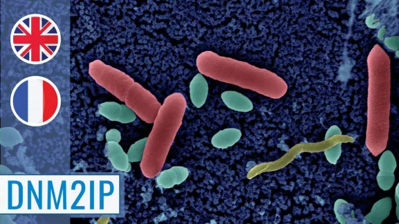 MOOC Resistance to Antibacterial Agents