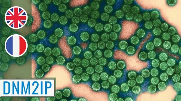MOOC Viruses and Human Cancers 