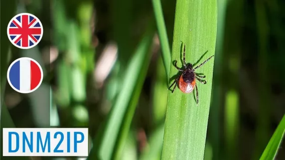 Medical Entomology MOOC
