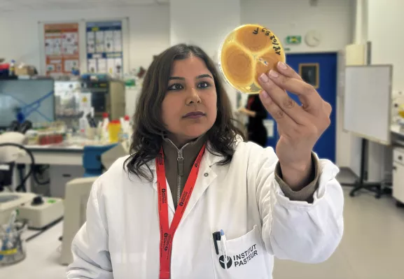 Travaux pratiques Cours Pasteur Mycologie Médicale