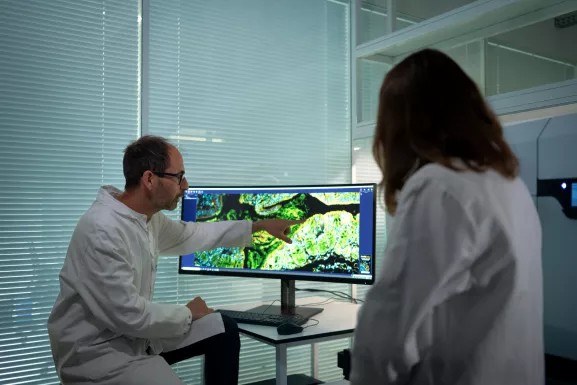 Laboratoire Interactions Microbiote-Hôte