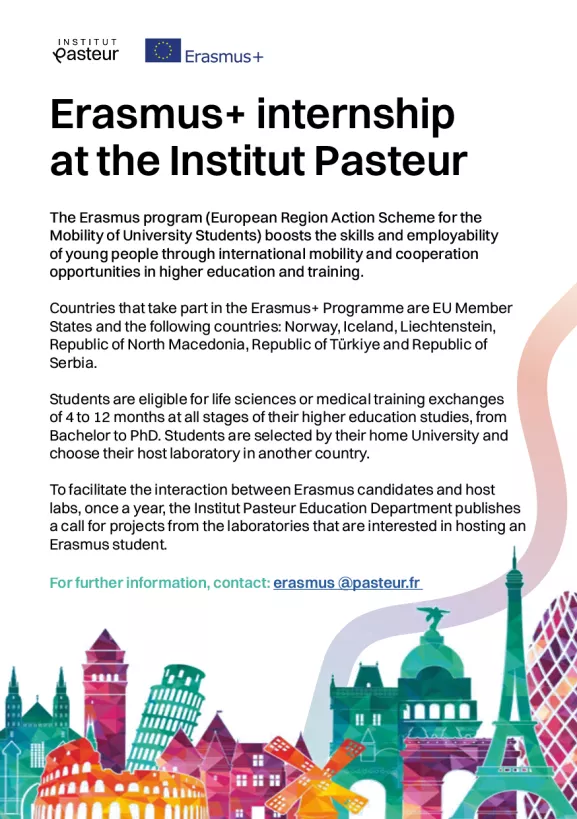 Erasmus 