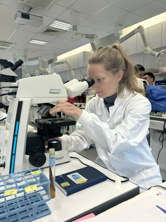 medical mycology practical course