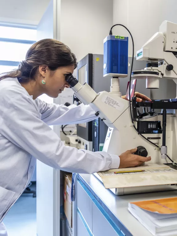 Microscopie HKU