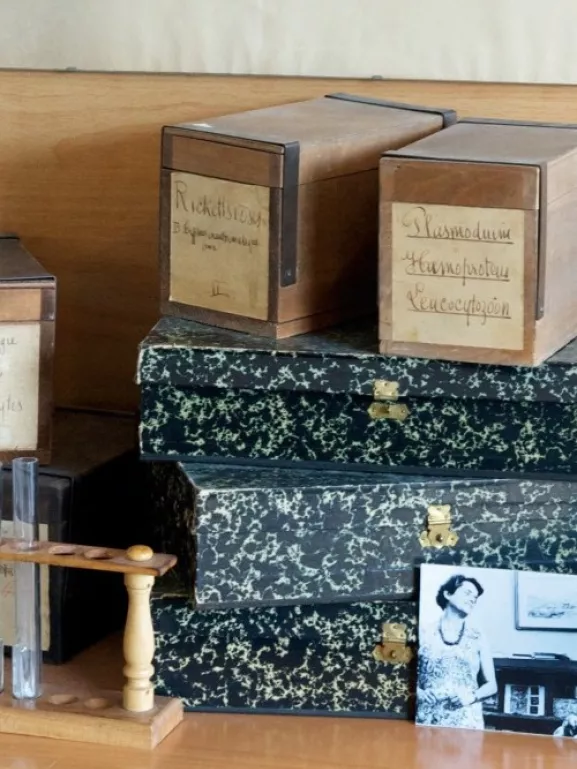 Reportage au Service des Archives de l'Institut Pasteur en 2013