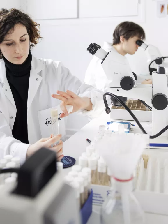 Reportage dans l'unité Mort cellulaire et homéostasie des épithéliums.