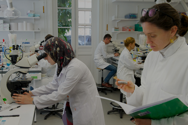 L'enseignement - Institut Pasteur