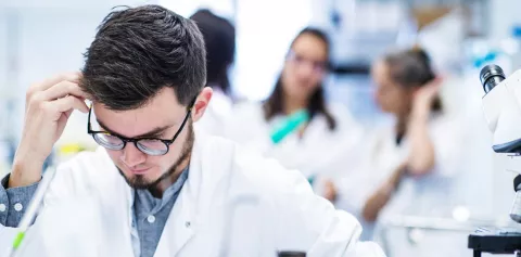 Programme Medecine sciences - Institut Pasteur 