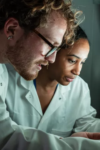 Reportage dans l'unité Arbovirus et Insectes Vecteurs (AIV). Phase aquatique de l’élevage de moustiques : observation des larves.
