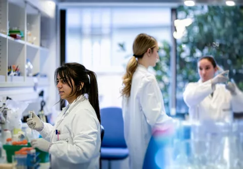 Reportage dans le laboratoire G5 Interactions cerveau-immunité.