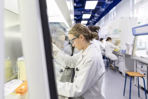 Cours Pasteur travaux pratiques 