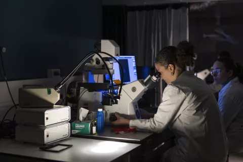 Cours salle microscopie