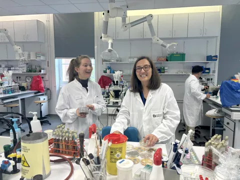 Medical Mycology pasteur course