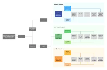 schema MD-PhD english