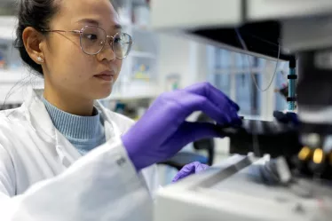 In the Biology and genetics of bacterial cell wall unit