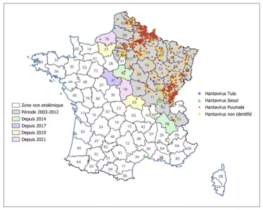Communes avec au moins un cas d'infection récente par un hantavirus