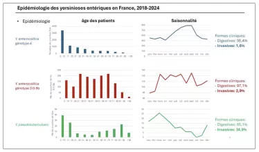 Epidémiologie des yersinioses entériques en France, 2018-2024