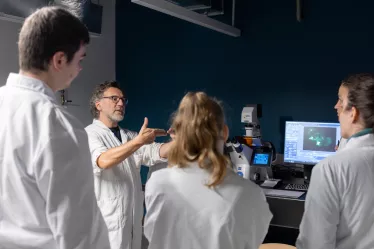 Cours Pasteur "Développement et Plasticité du Système Nerveux".