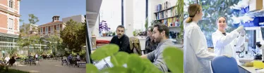 images du campus
